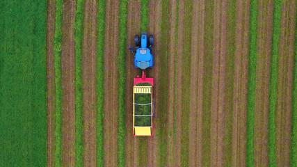 Aerial top view of a tractor working in an arable agriculture farming field