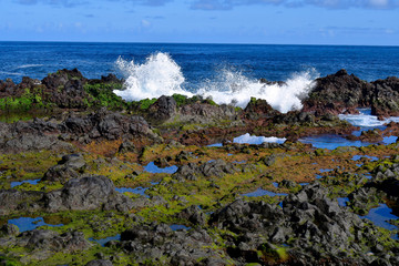 Spain, Canary Islands, Tenerife, Puerto de la Cruz
