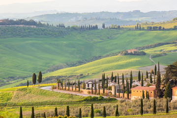 Road with cypress trees at an Italian village