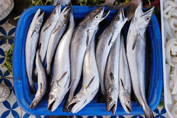 Obraz premium FRESH SARDINES ON MARKET STALL