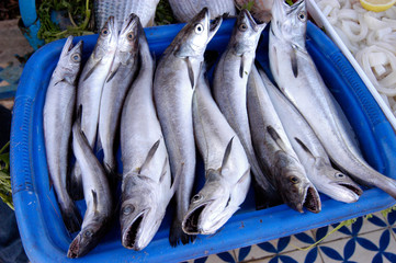 Obraz premium FRESH SARDINES ON MARKET STALL