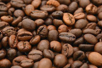 Coffee beans background