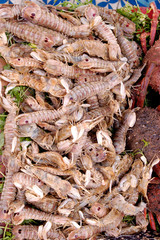 FRESH PRAWNS OR SHRIMP ON MARKET STALL