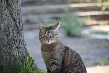 Les yeux dans les yeux