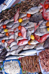 SELECTION OF FRESH FISH