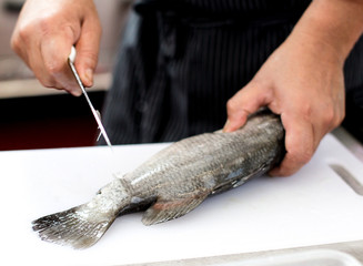 Gutting and cleaning fresh fish in kitchen sink, preparing fish.