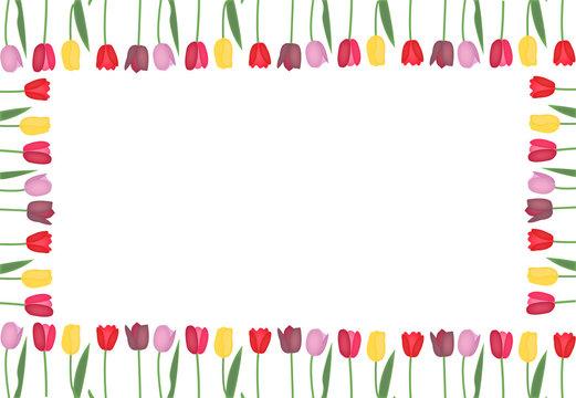 Tulips frame