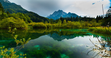 Fototapeta na wymiar beautiful zelenci springs in slovenia