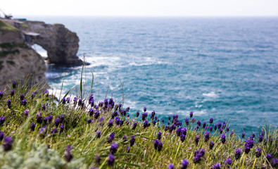 The Black sea coast, Crimea