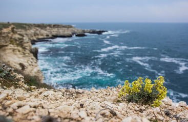 Black Sea coast of Crimea
