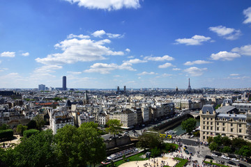 Fototapeta na wymiar Panoramic view of Paris from Notre Dame of Paris