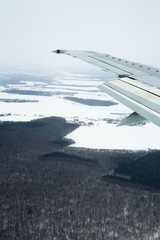 Obraz na płótnie Canvas Airplane Wing Out of Window with Forest and Snow