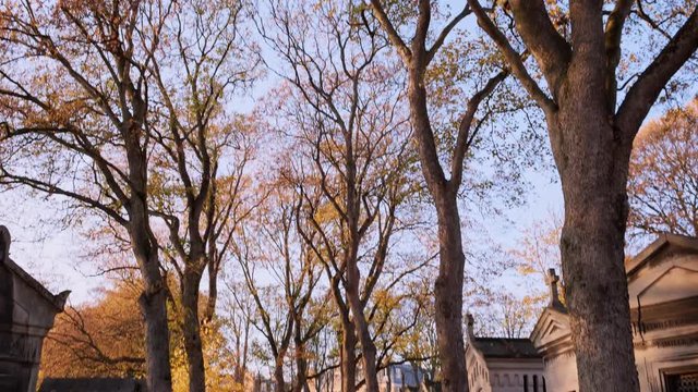 Paris automne