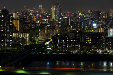Fototapeta na wymiar Tokyo city and skyline with night light