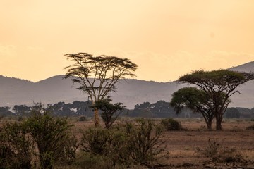 Naklejka na ściany i meble Sonnenuntergang im Rift Valley in Afrika