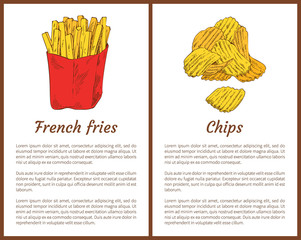 French Fries Snack and Chips Vector Illustration