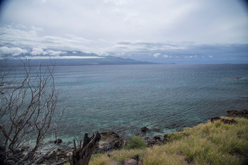 海