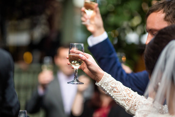 Champagne Wedding Toast, Bride and Groom