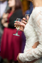 Champagne Wedding Toast, Bride and Groom