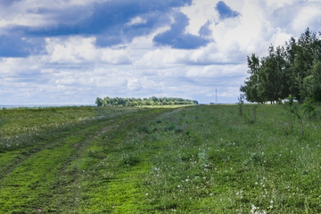 green field and sky with clouds