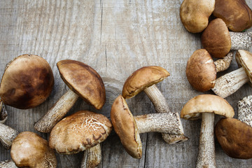 Different mushrooms on grey background, top view