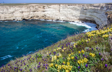 Flowers on the background of the Black Sea