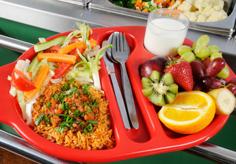 HEALTHY SCHOOL MEAL