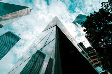 Looking up at skyscrapers 