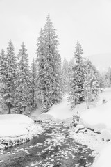 High-key winter landscape with fir trees and a stream in the foothills of Switzerland