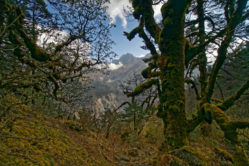 Fototapeta na wymiar Landscape while climbing at the Mera peak