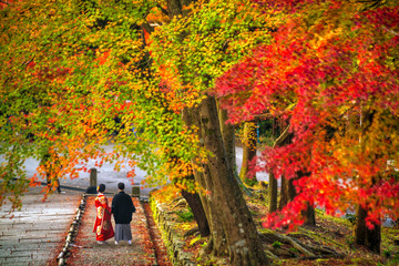 Obraz premium Młode kobiety jest ubranym tradycyjnego Japońskiego kimono z kolorowymi czerwonymi klonowymi drzewami w jesieni