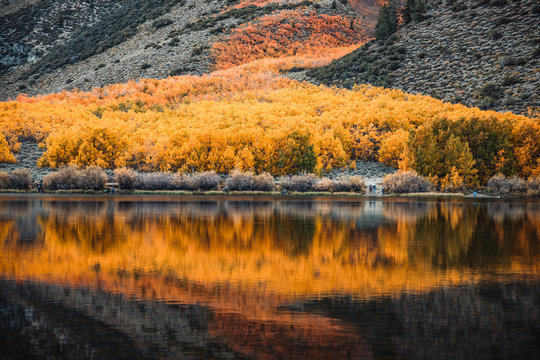 Reflection of colorful trees on the water in autumn