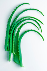 Cut aloe leaves put together on white background
