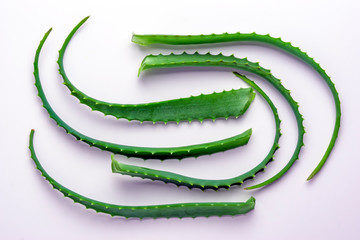 Cut aloe leaves put together on white background