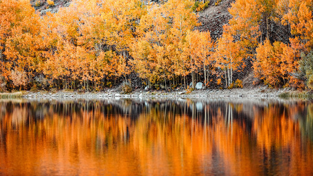 Colorful trees reflected on the water in autumn