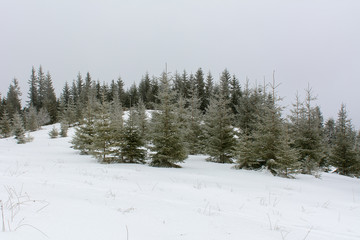 Misty winter day in the mountains