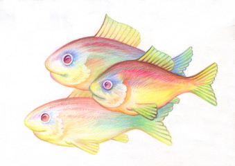 Fototapeta premium Pencil drawing. Illustration for children. Image of animals with colored pencils. Fish shoal swam together in the sea.