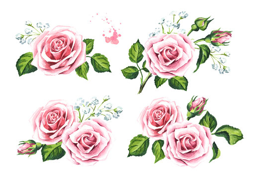 Pink rose flowers and gypsophila set. Design elements for cards, invitations and textile. Watercolor hand drawn illustration,  isolated on white background