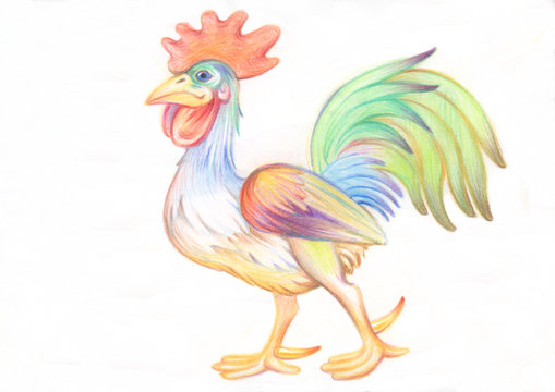 Pencil drawing. Illustration for children. Image of animals with colored pencils. Bright pompous rooster, proudly walks.