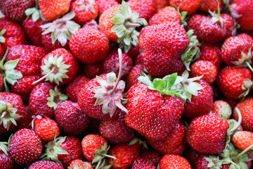 strawberry, berry, taste, aroma, harvest