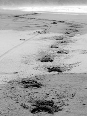 Bali. Beach in Indonesia ( Asia)