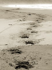 Bali. Beach in Indonesia ( Asia)