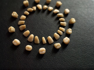 Plastic teeth on a dark background. Plastic dentures teeth.