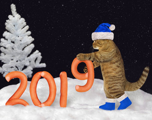 The cat in Santa Claus hat builds the number 2019 of the figures made from sausage on the snow in the forest.