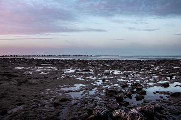 Fototapeta premium view over the sea in the netherlands