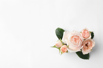 Fototapeta premium Beautiful roses and space for text on white background, top view