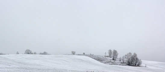 Hills in the first snow and fog and an islet with trees in a huge field against the sky.
