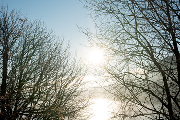 Looking through bare autumnal branches in silhouette to idyllic, bright sun reflected in lake with mist,fog and mountains behind in the horizon an early fresh morning at sunrise in the countryside