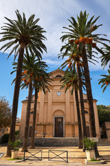 Fototapeta na wymiar Tall palm trees in front of Eglise de la Misericorde in the center of L'Île-Rousse, Corsica, France