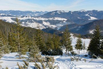 Winter sunny day in the mountains